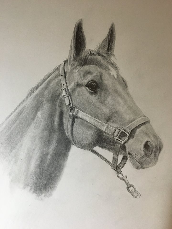 Horse Portrait