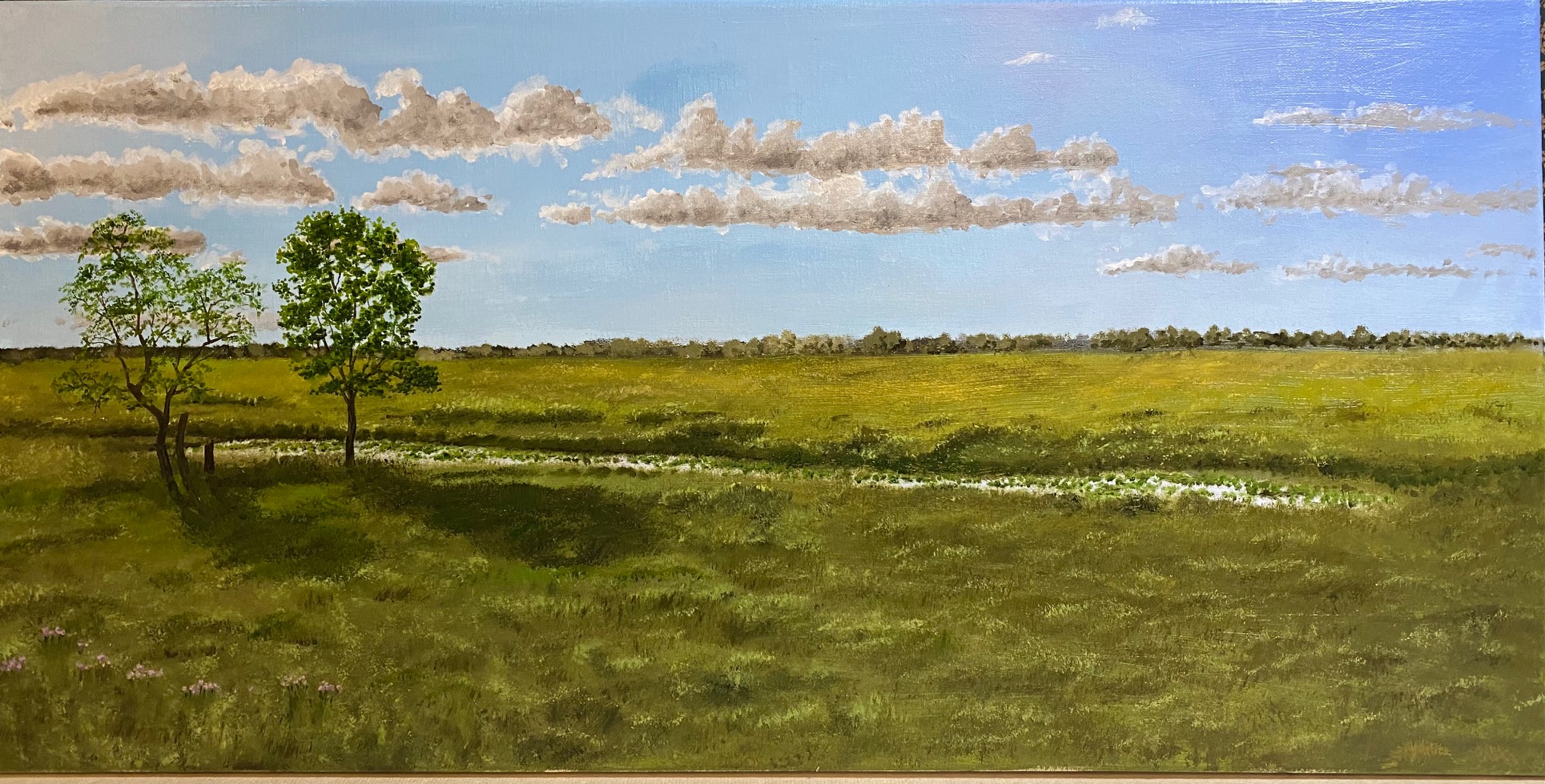 Springbrook Prairie Preserve, Naperville, IL